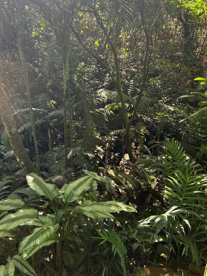 Eco Villas Tambor Tucanes Eksteriør bilde