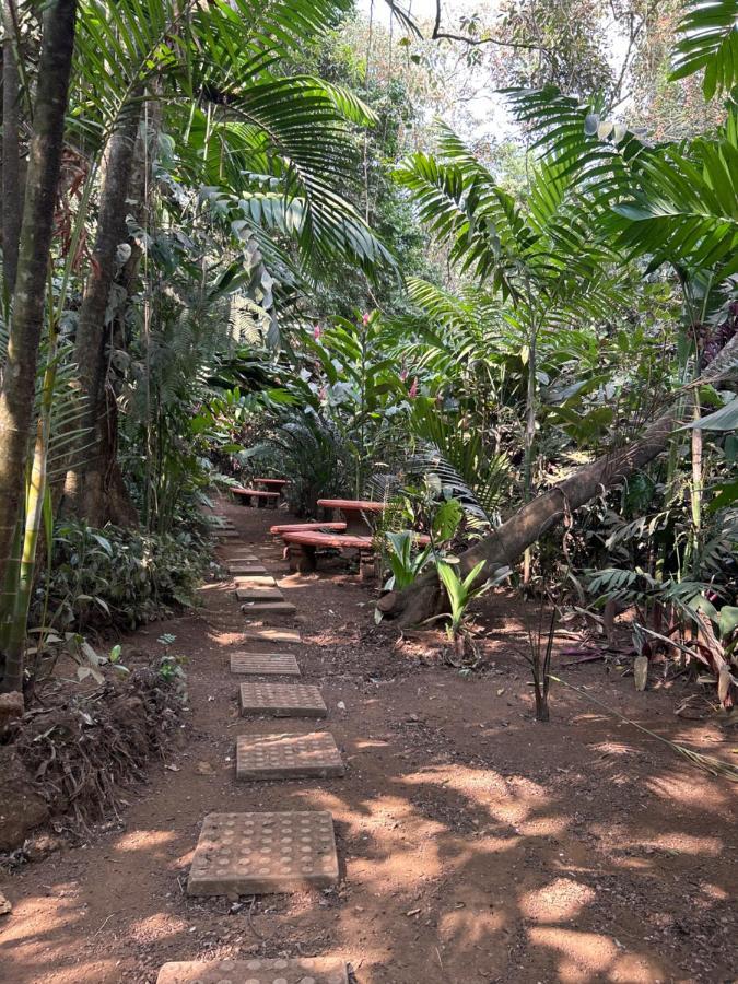 Eco Villas Tambor Tucanes Eksteriør bilde